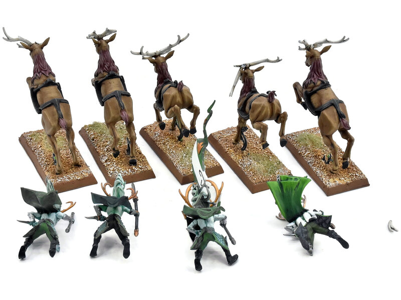Games Workshop WOOD ELVES 5 Wild Riders #1 PRO PAINTED INCOMPLETE Fantasy Missing One Rider