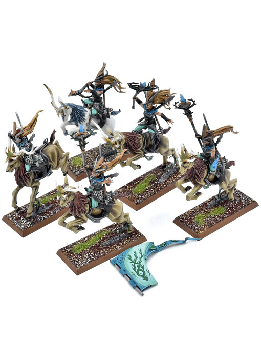 WOOD ELVES 5 Sisters Of The Thorn #1 PRO PAINTED Fantasy Broken Banner