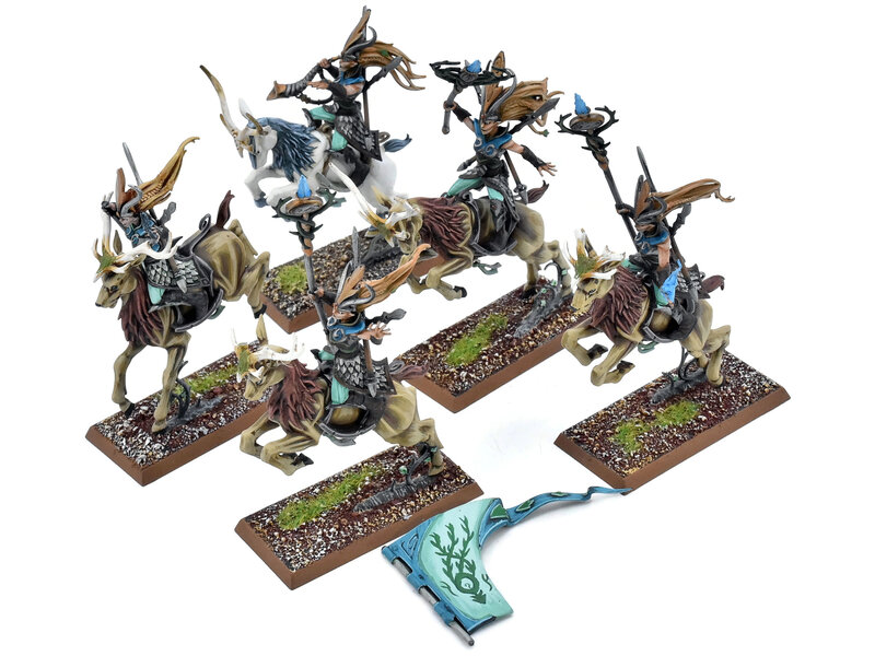 Games Workshop WOOD ELVES 5 Sisters Of The Thorn #1 PRO PAINTED Fantasy Broken Banner