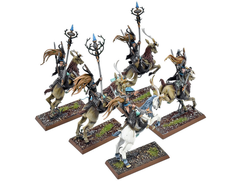 Games Workshop WOOD ELVES 5 Sisters Of The Thorn #1 PRO PAINTED Fantasy Broken Banner