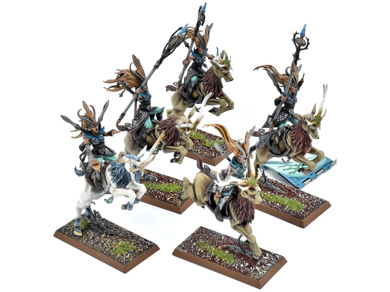 Games Workshop WOOD ELVES 5 Sisters Of The Thorn #1 PRO PAINTED Fantasy Broken Banner
