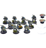 Games Workshop TAU EMPIRE 12 Strike Team #1 WELL PAINTED Warhammer 40K