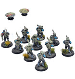 Games Workshop TAU EMPIRE 12 Strike Team #3 WELL PAINTED Warhammer 40K