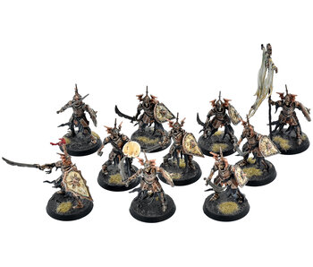 SOULBLIGHT GRAVELORDS 10 Barrow Guard #1 COMMISSION PRO PAINTED Sigmar