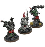 Games Workshop SYLVANETH Morgok's Krushas #1 WELL PAINTED Warhammer Sigmar