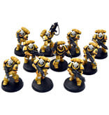 Games Workshop SPACE MARINES Imperial Fists 10 Intercessors #2 WELL PAINTED Warhammer 40K
