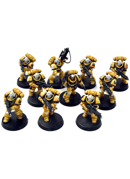 SPACE MARINES Imperial Fists 10 Intercessors #2 WELL PAINTED Warhammer 40K
