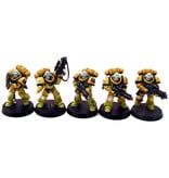 Games Workshop SPACE MARINES Imperial Fists 10 Intercessors #2 WELL PAINTED Warhammer 40K