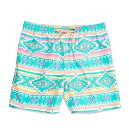 mens chubbies swimwear