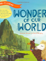 Usborne Shine-A-Light