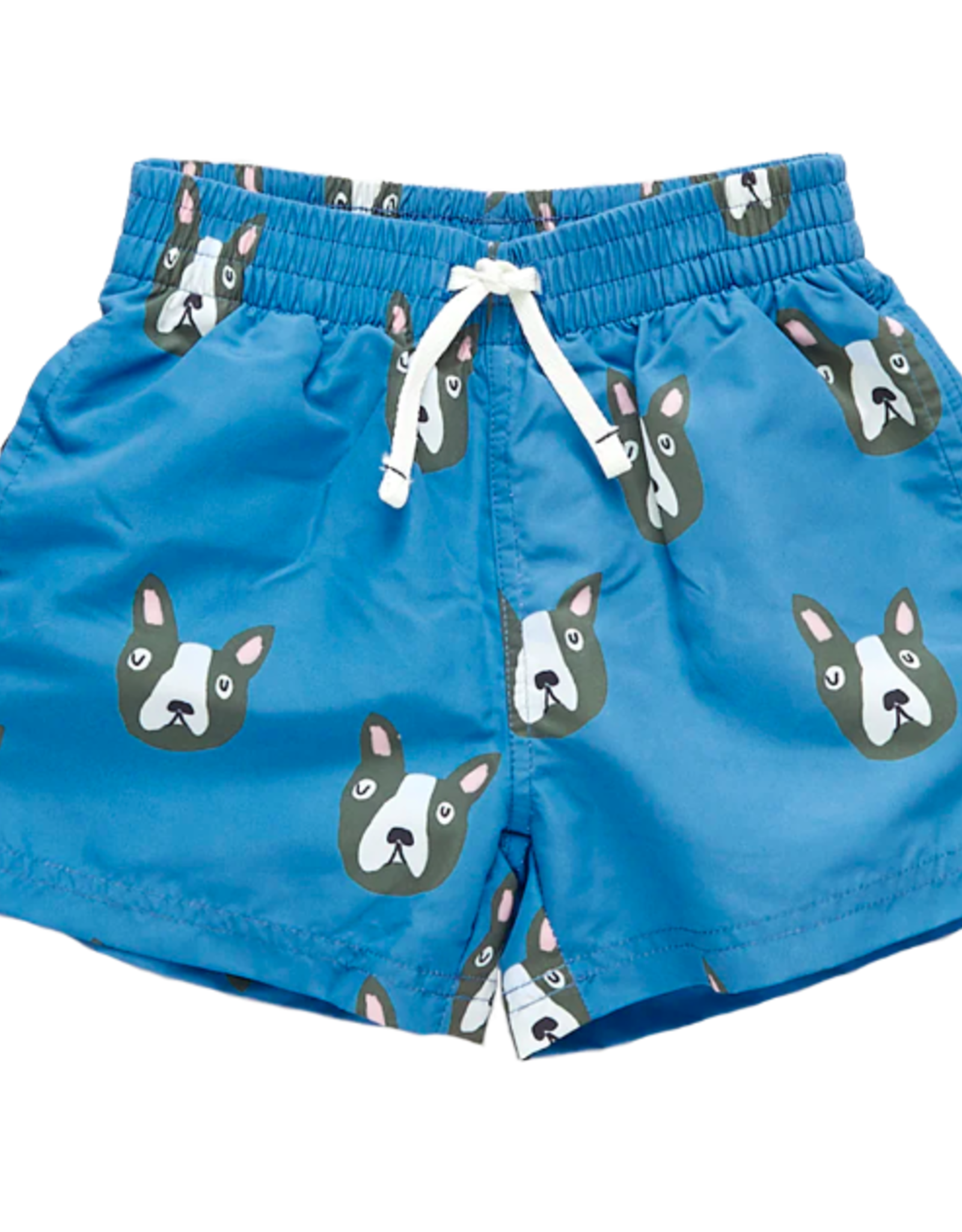 boys swim trunk - blue boston terrier - From Marfa