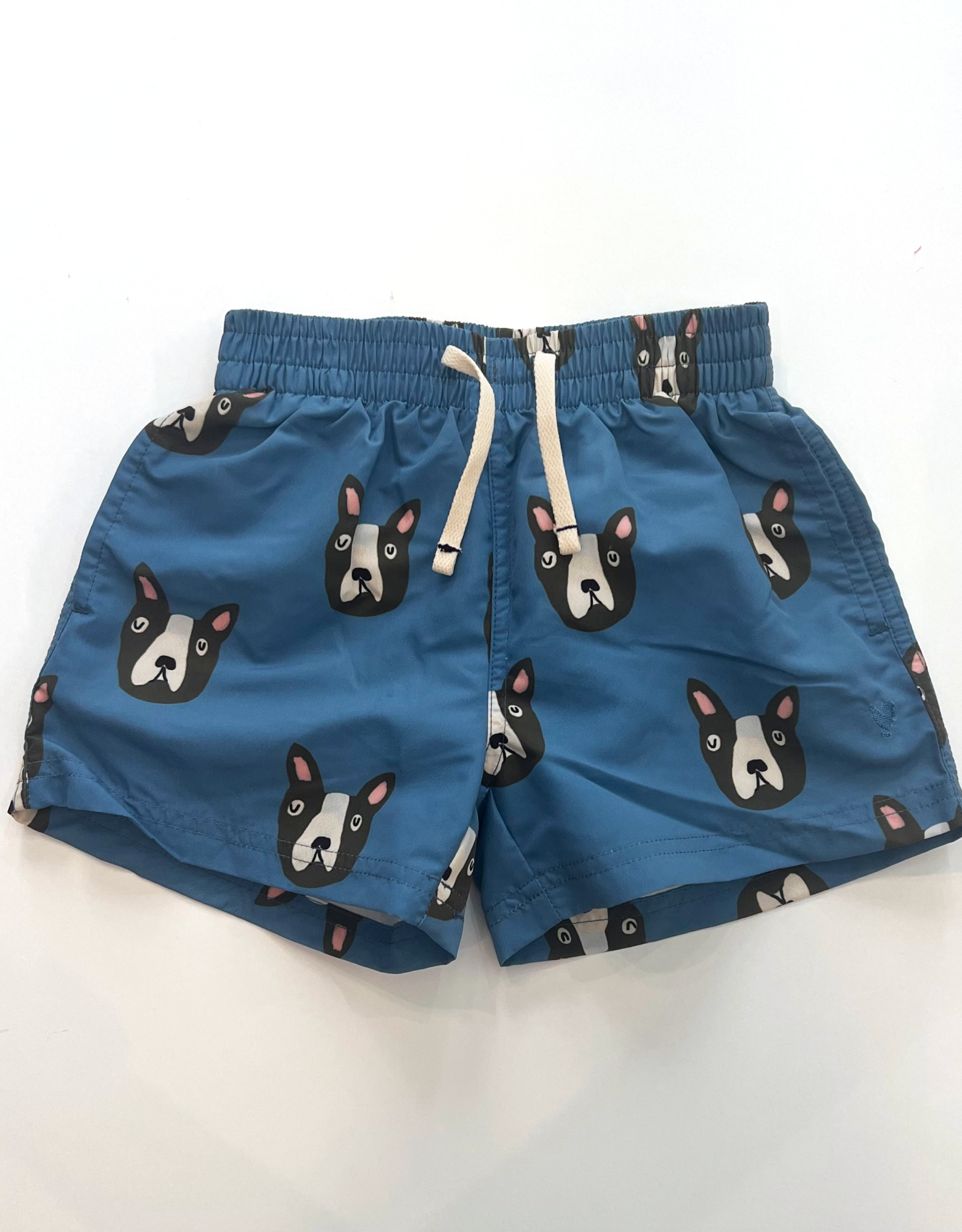 Pink Chicken boys swim trunk - blue boston terrier