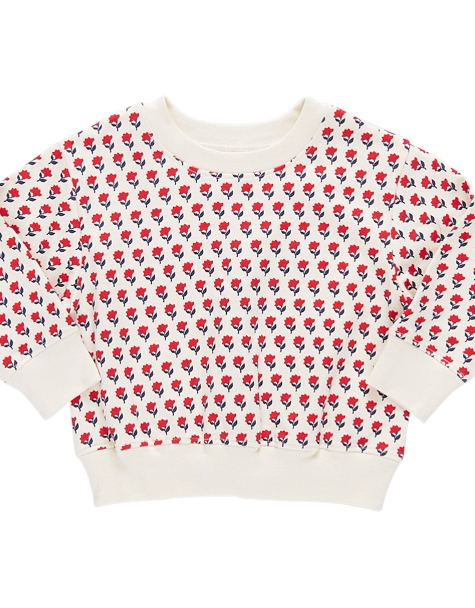 Pink Chicken girls organic sweatshirt