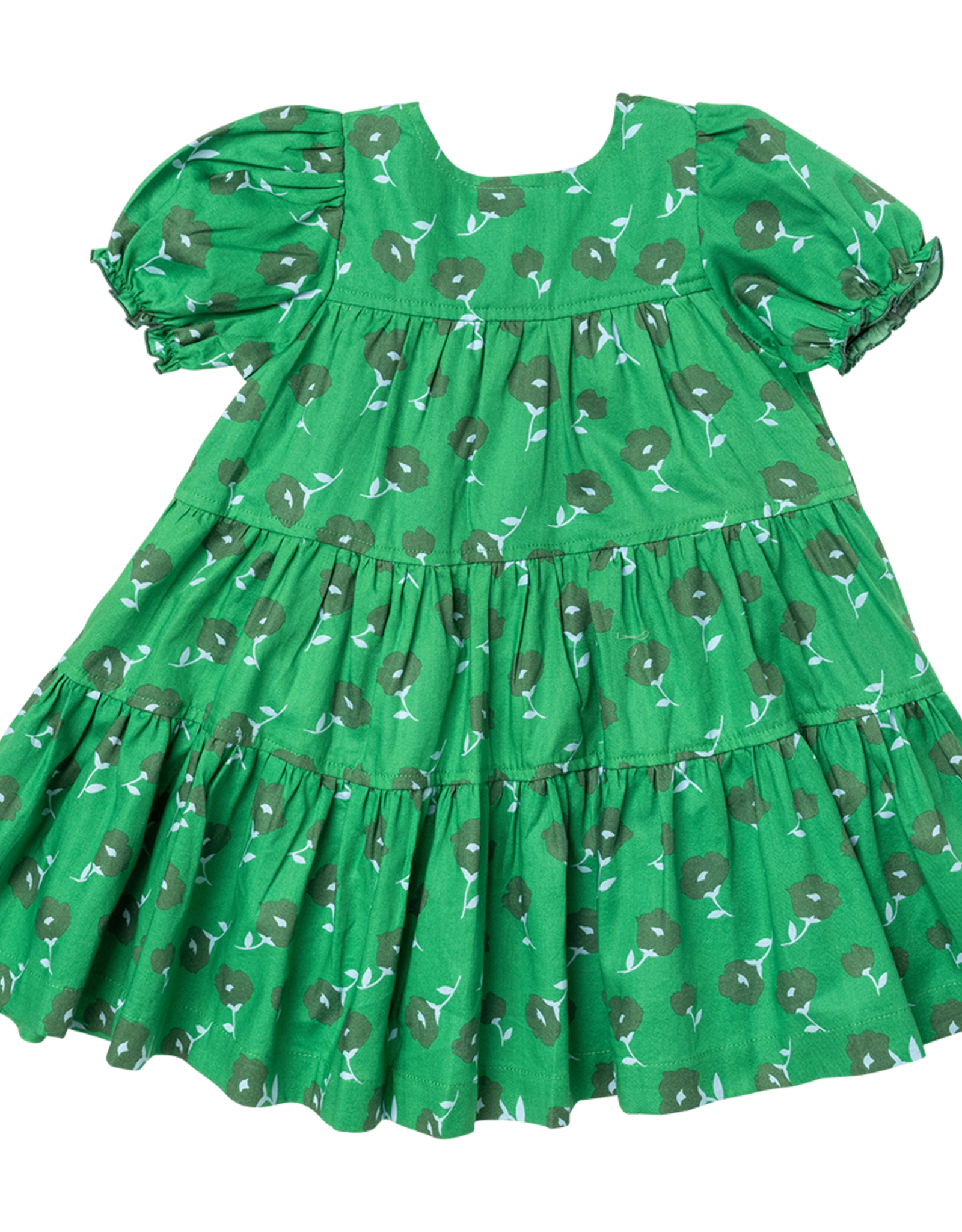 Pink Chicken girls elizabeth dress - green flower toss