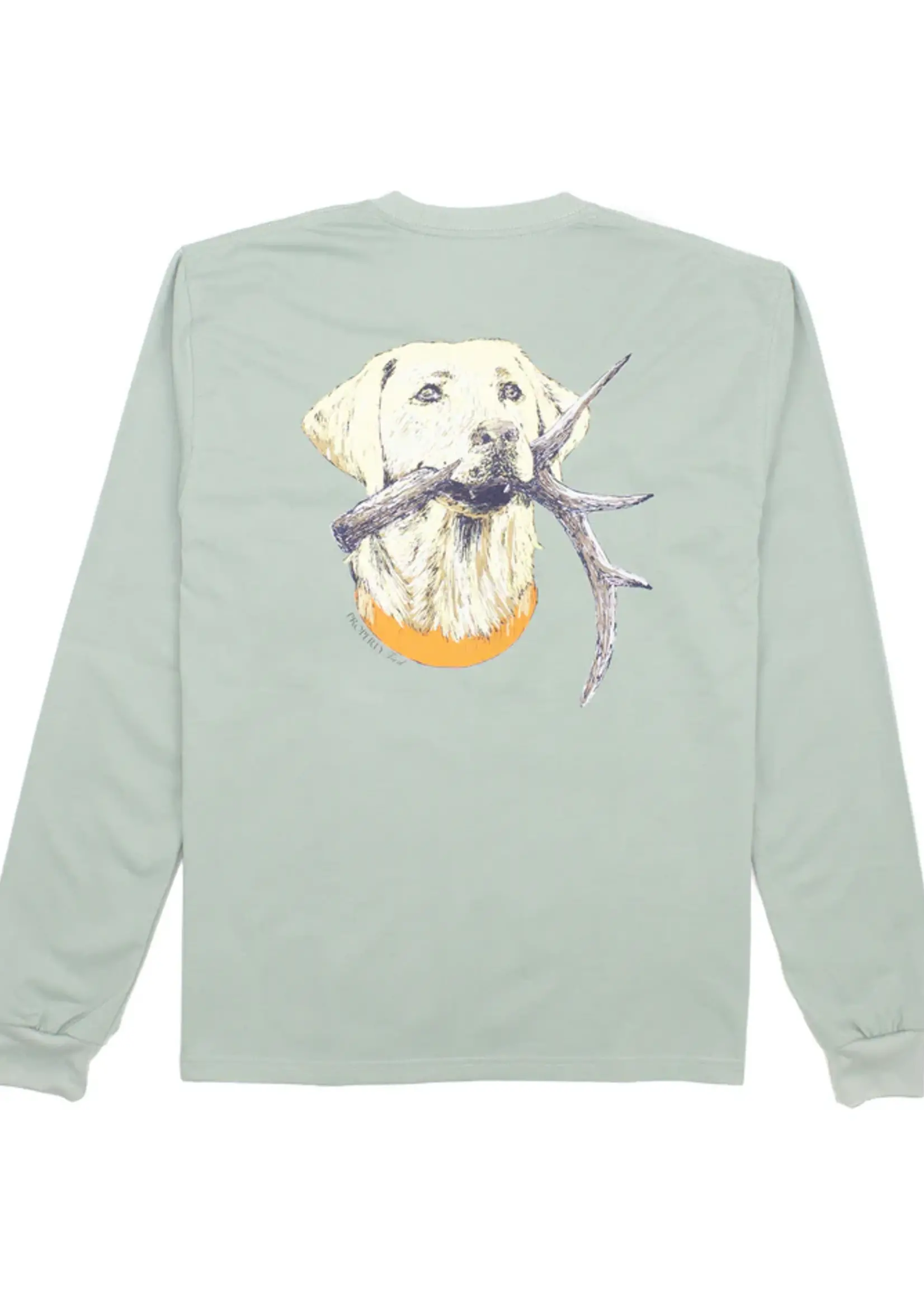 Properly Tied Boys Antler Lab LS Sage