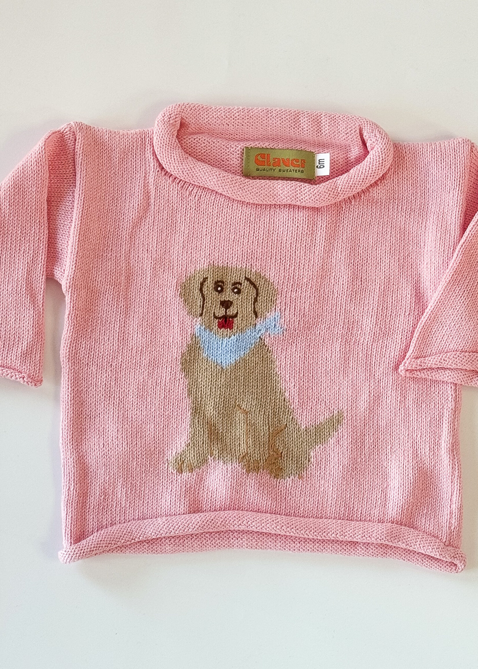 Luigi Kids Roll Neck Sitting Labrador