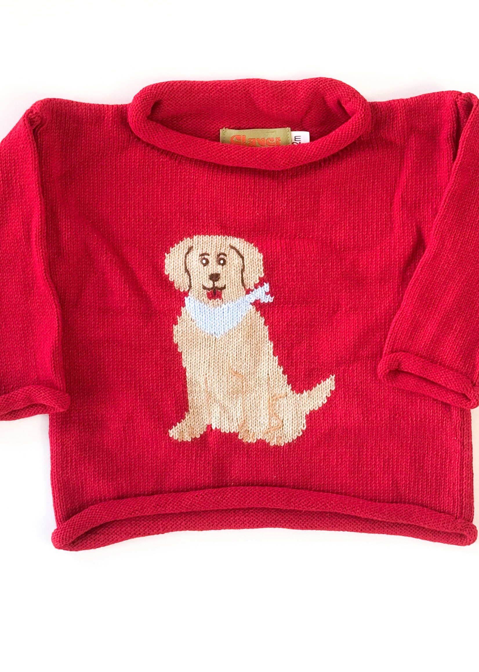 Luigi Kids Roll Neck Sitting Labrador