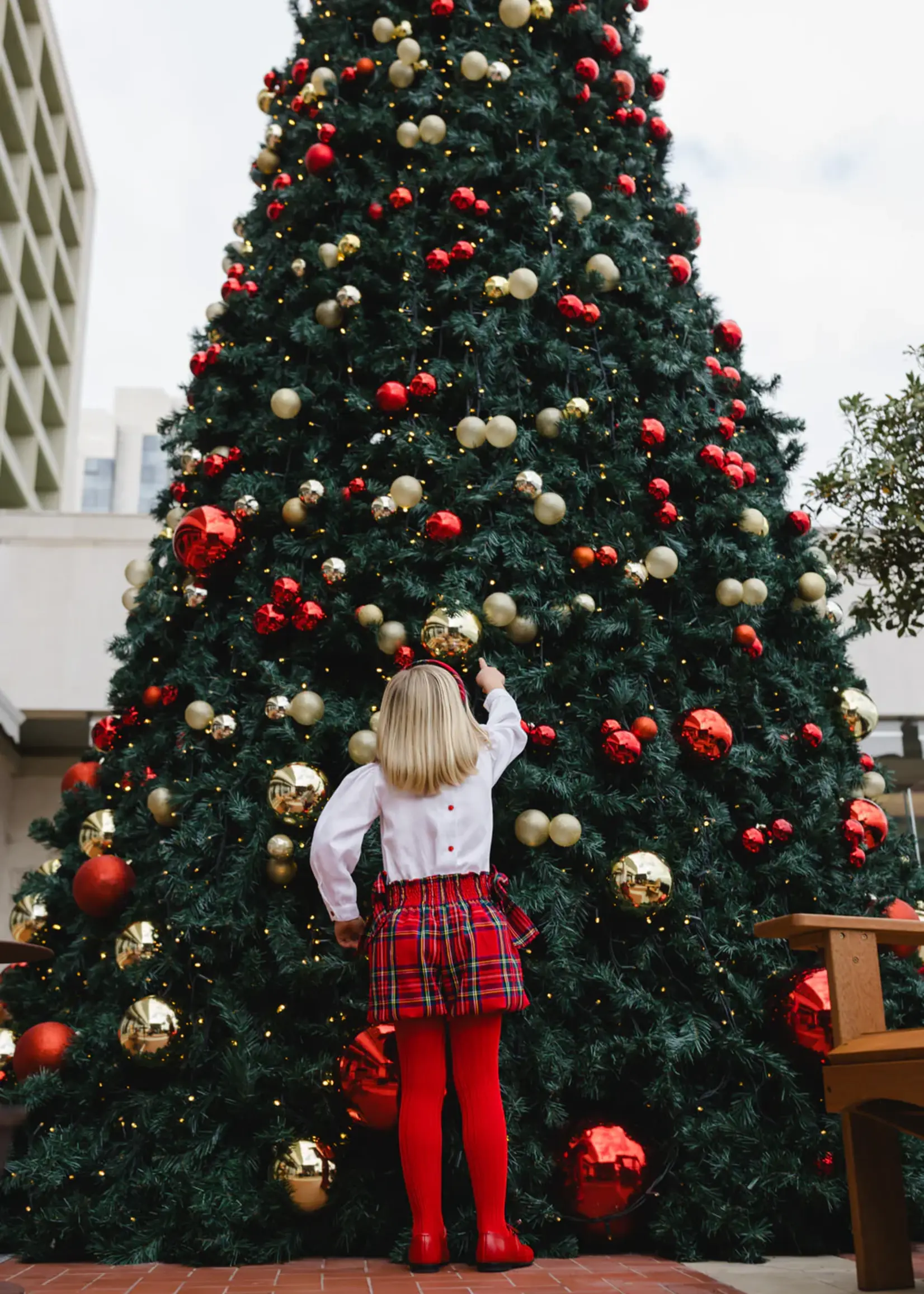 Sal & Pimenta Bubbly Shorts