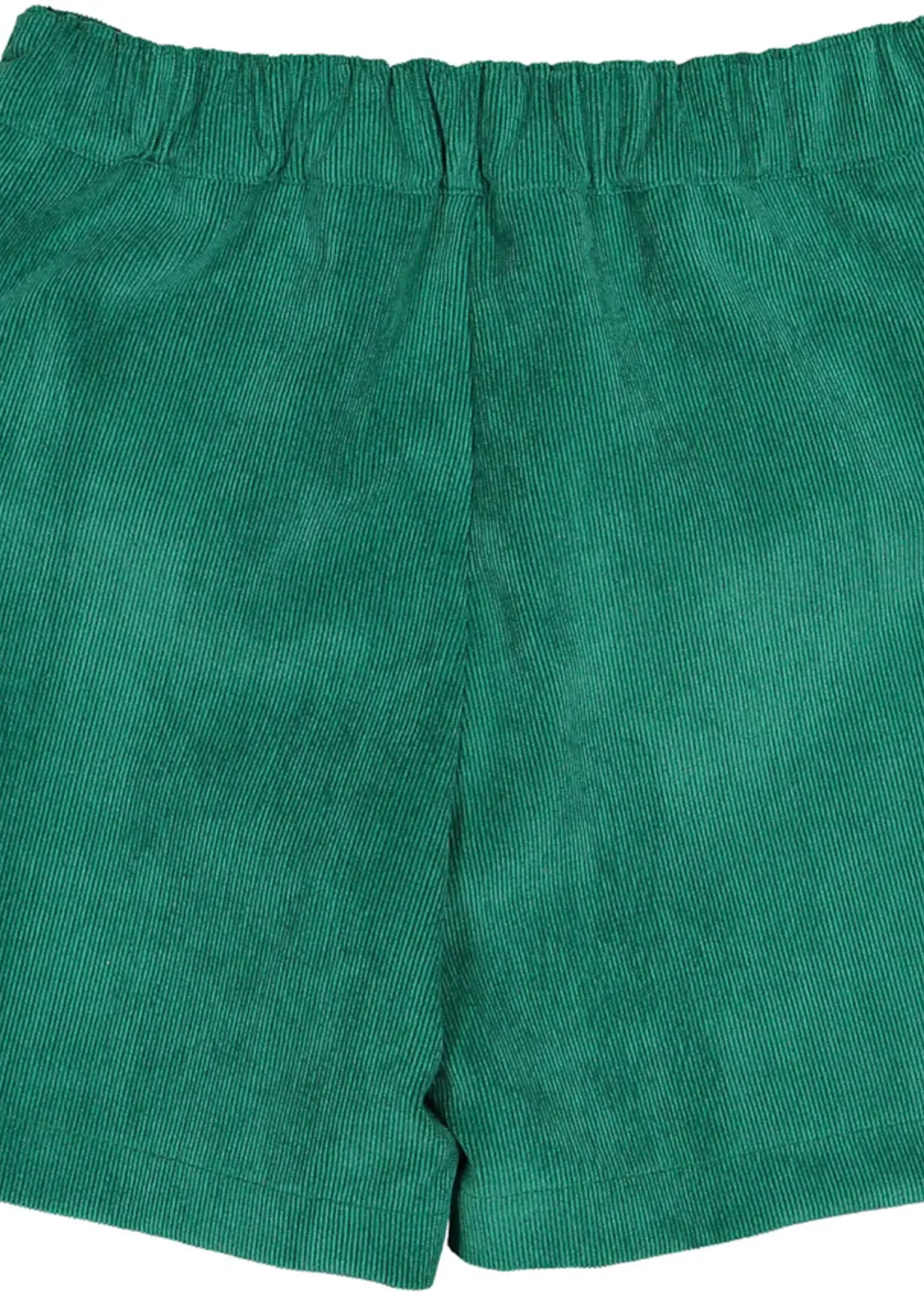 Sal & Pimenta O Christmas Tree Boy Shorts