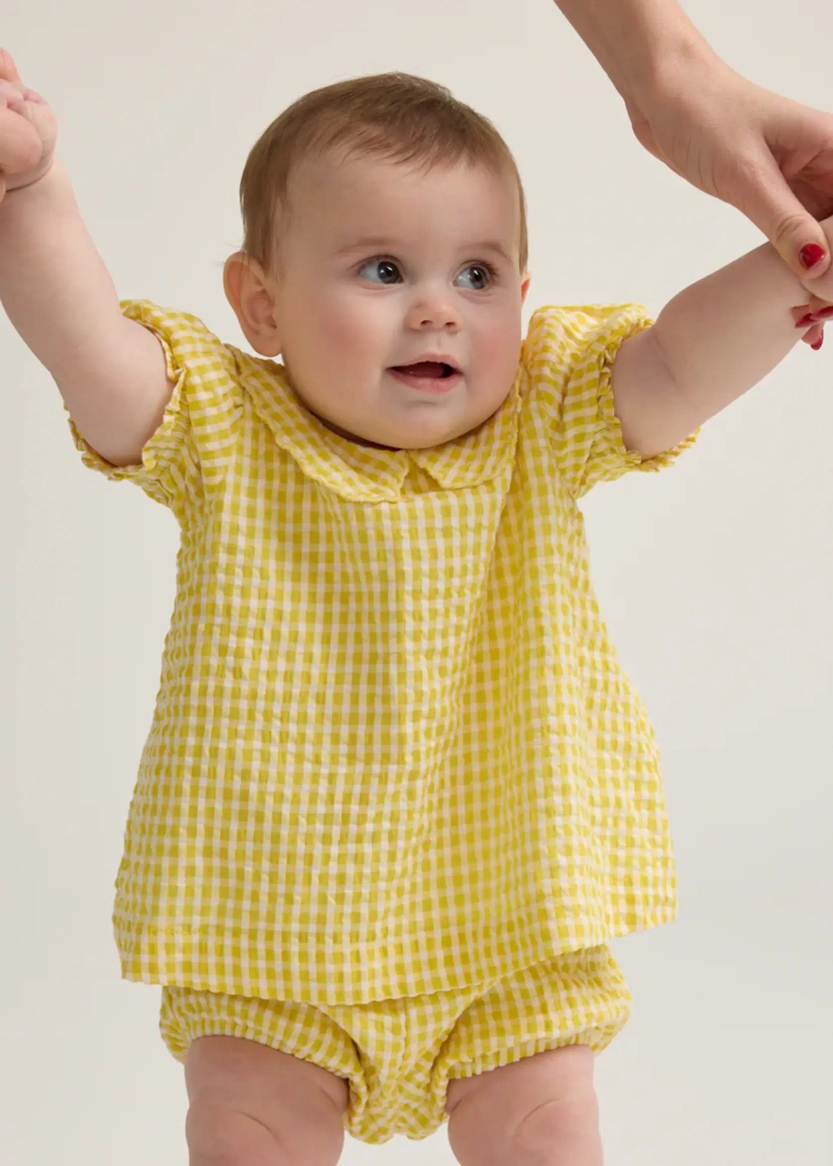 Minnow Baby ruffle sleeve top and bloomer set