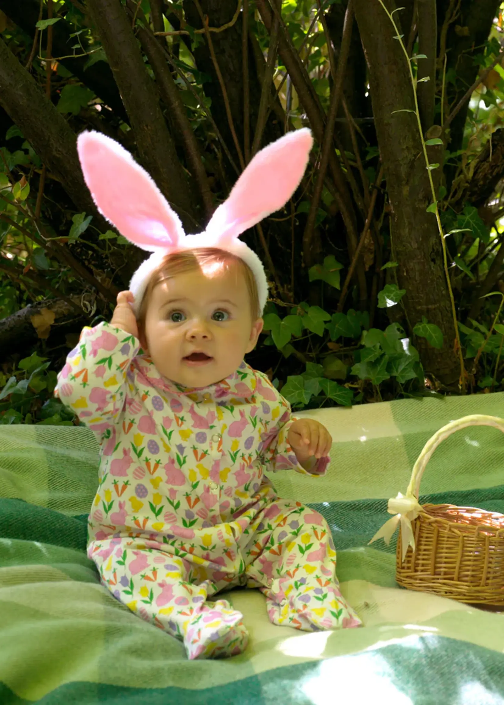 Rachel Riley Spring Meadows Babygro