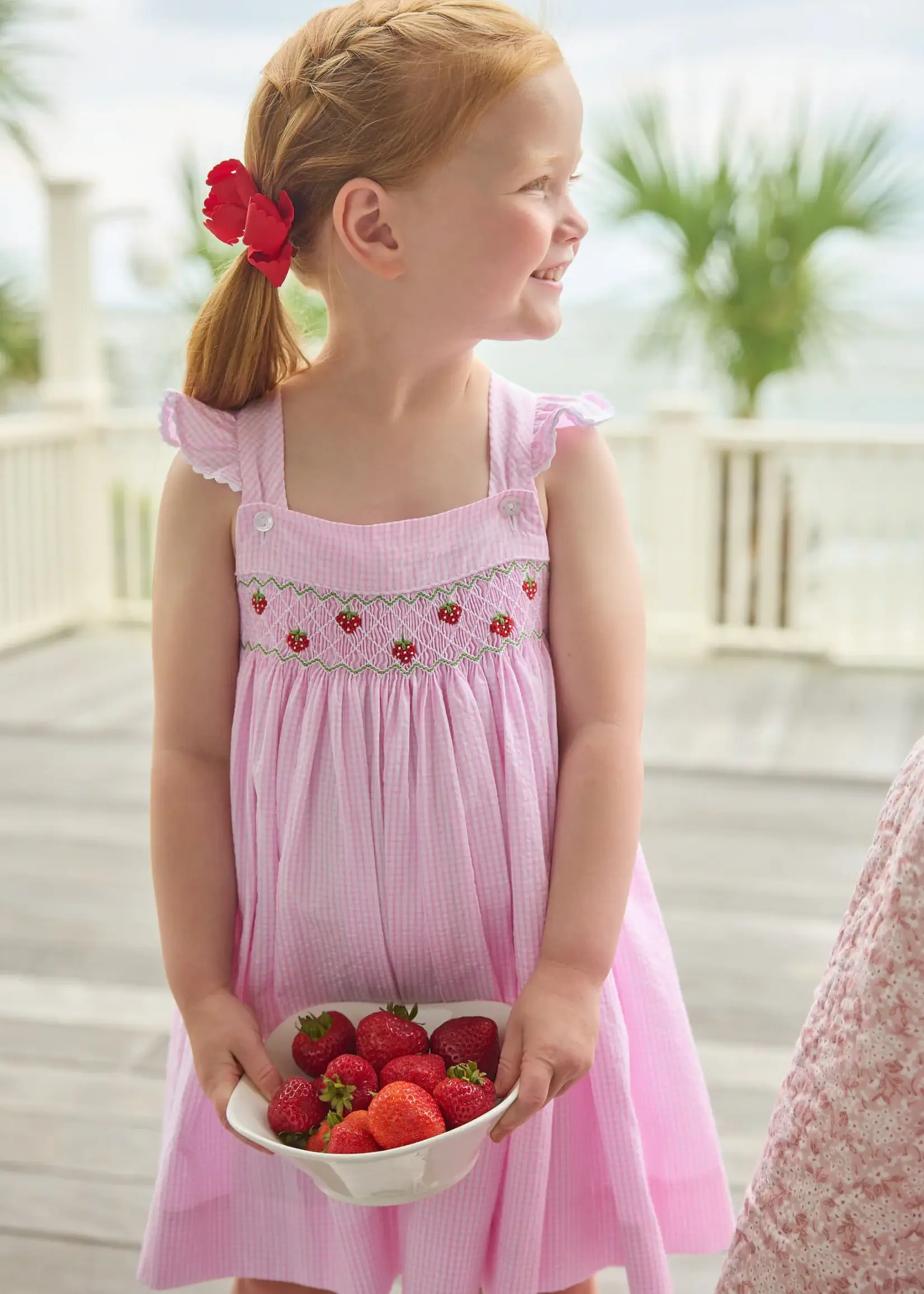 Little English Smocked Lizzy D Dress