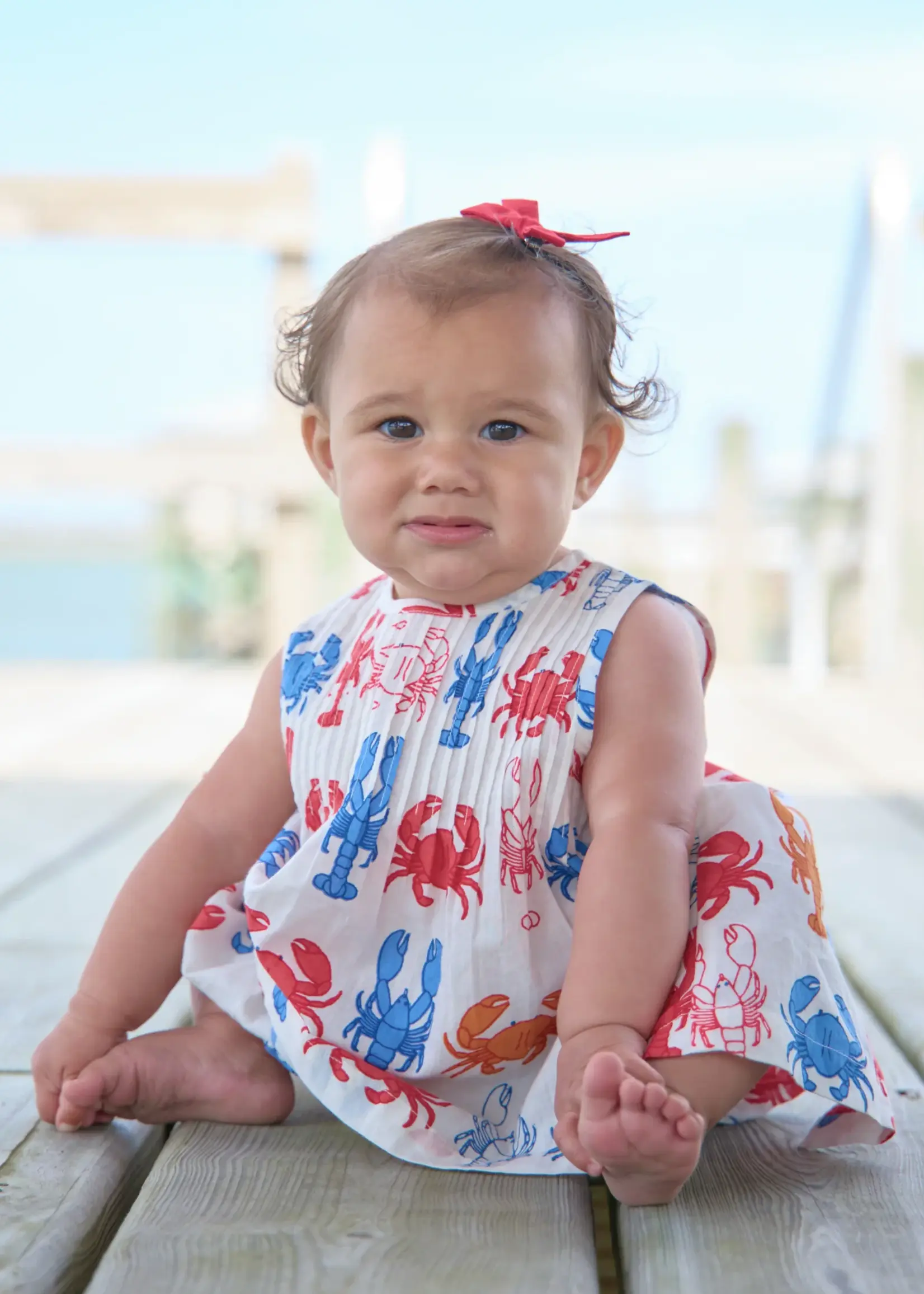 Pink Chicken Baby Girls Jaipur 2-PC Set