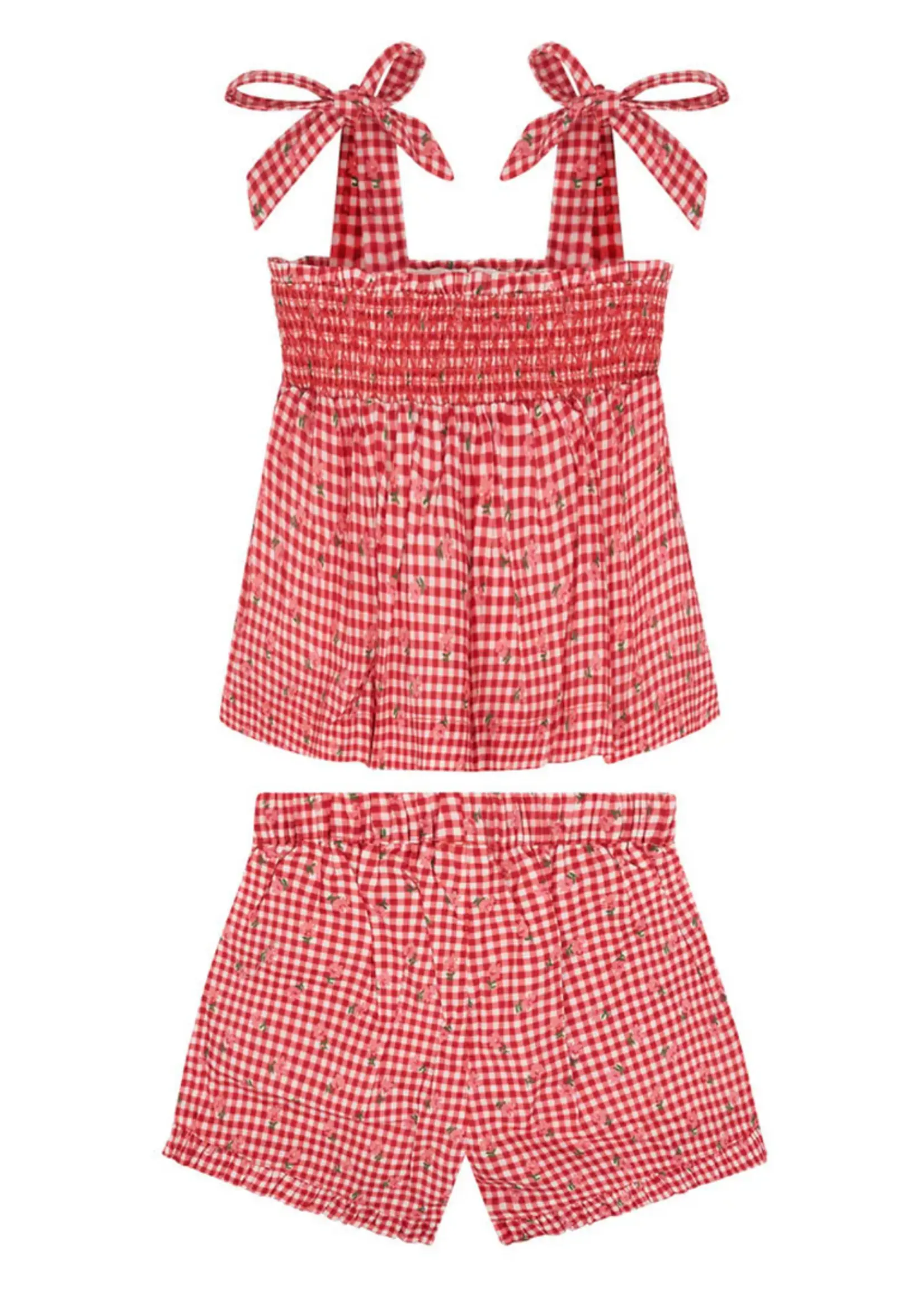 Minnow smocked tank and short set