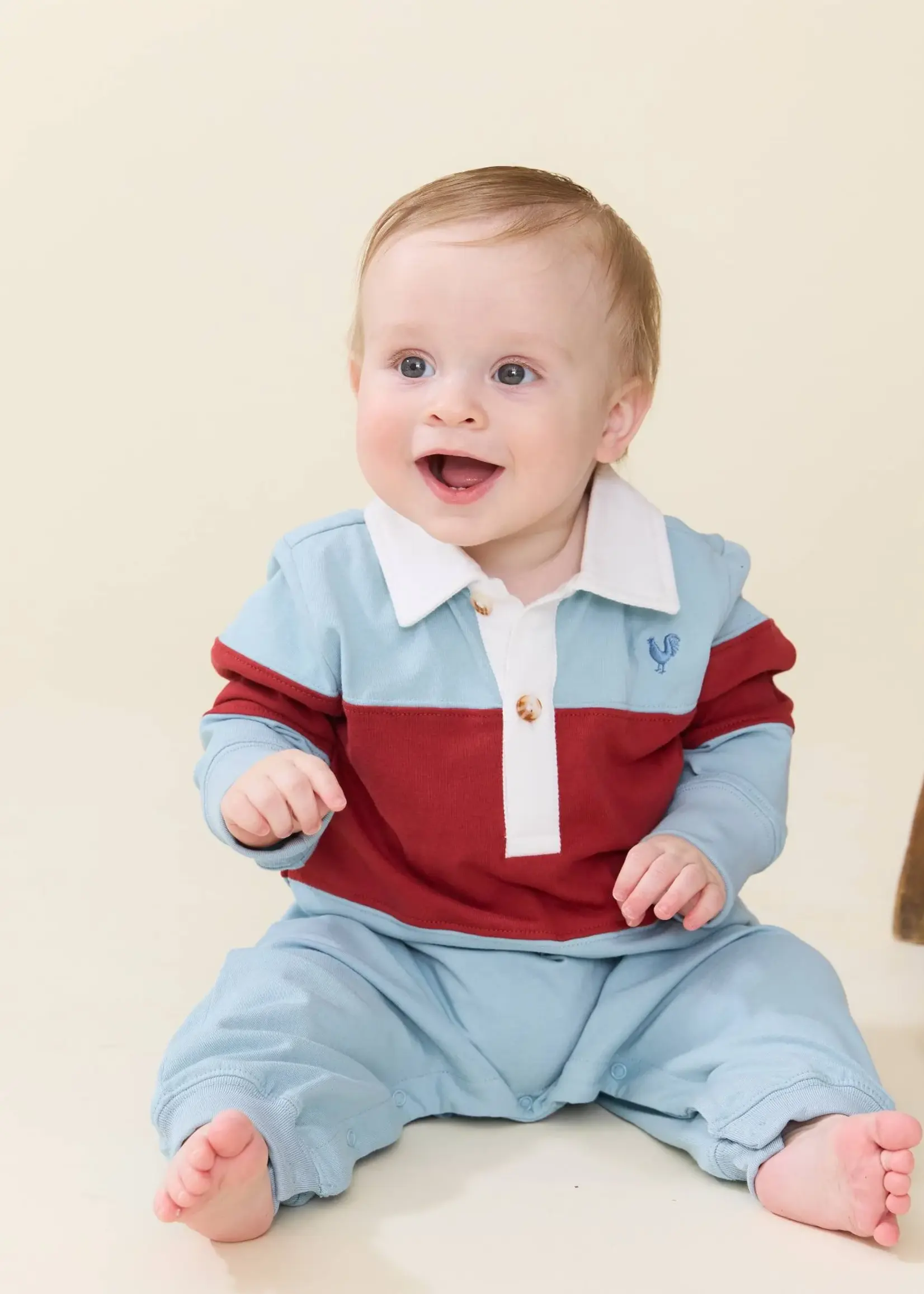 Pink Chicken Baby Boys Albert Rugby Jumper