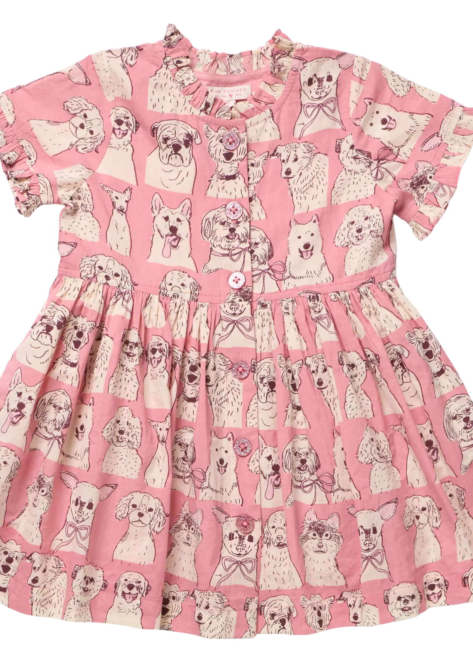 Pink Chicken Girls Autumn Dress