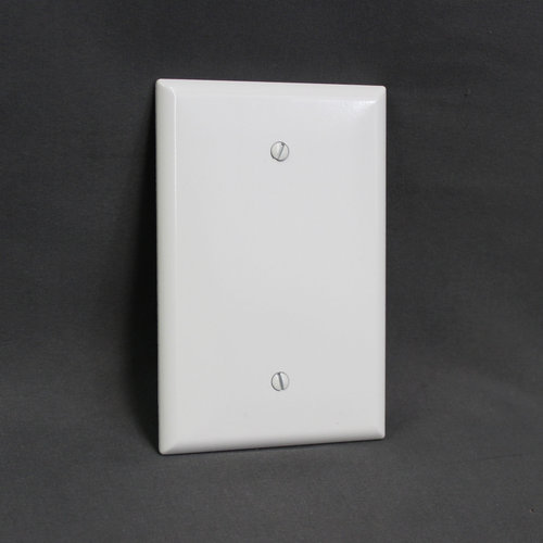 Cooper Wiring Oversized Blank Wall Plate