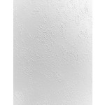 Wood Paneling Ceiling White Textured