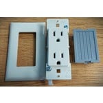 Receptacle Double 110V w/wall plate