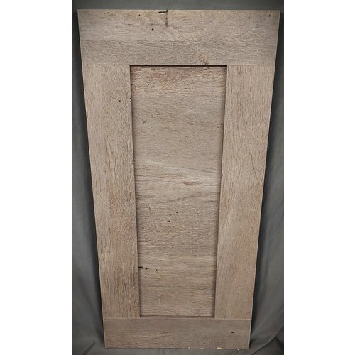 Cabinet Door Gray 10" X 21"