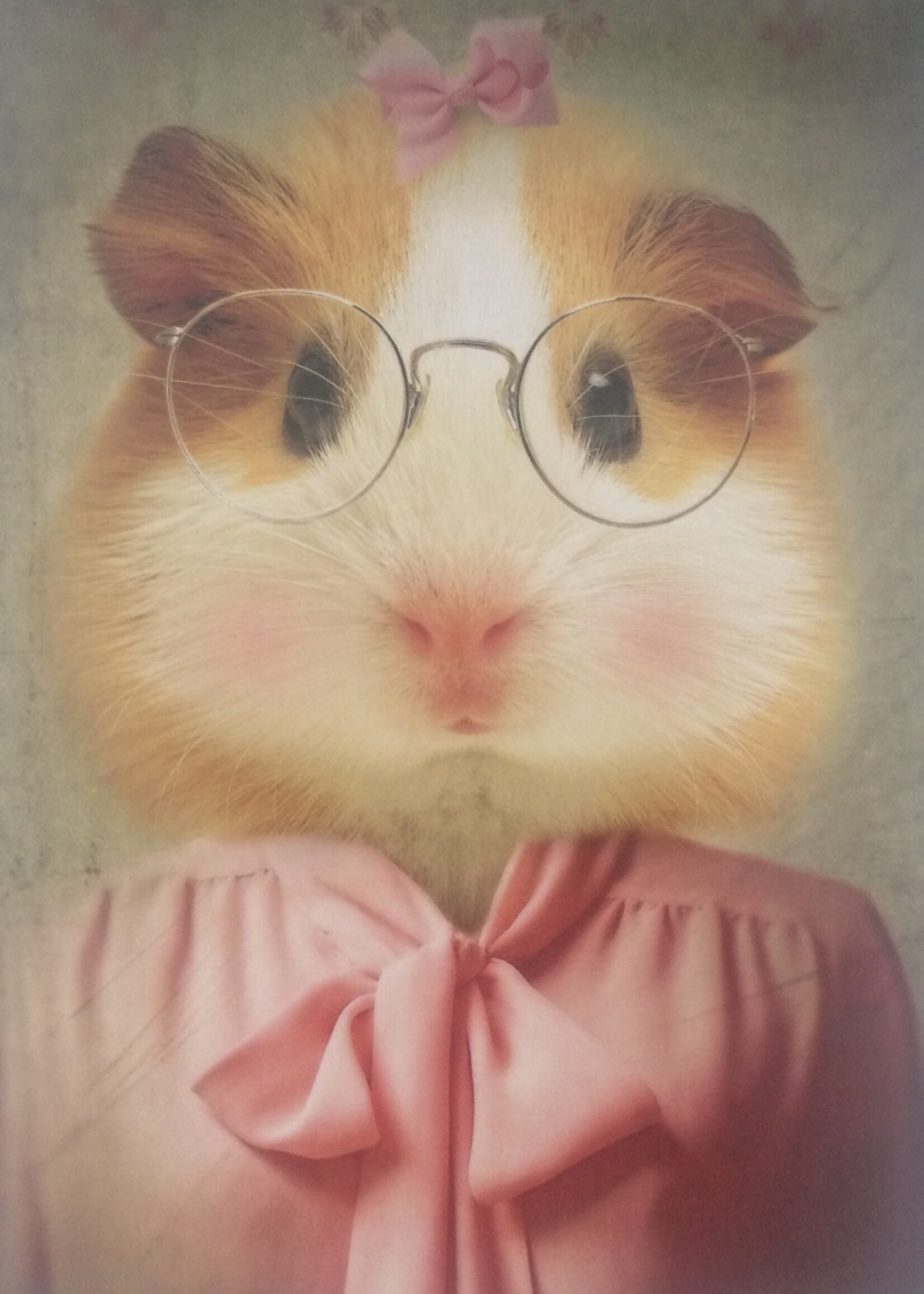 Little Shirley Tweedle