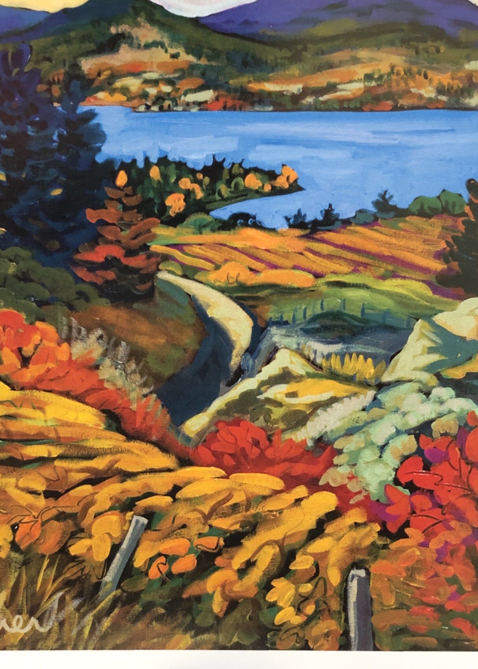 Christine Reimer Sumacs and vineyards