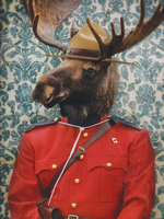 Morris B. Moose