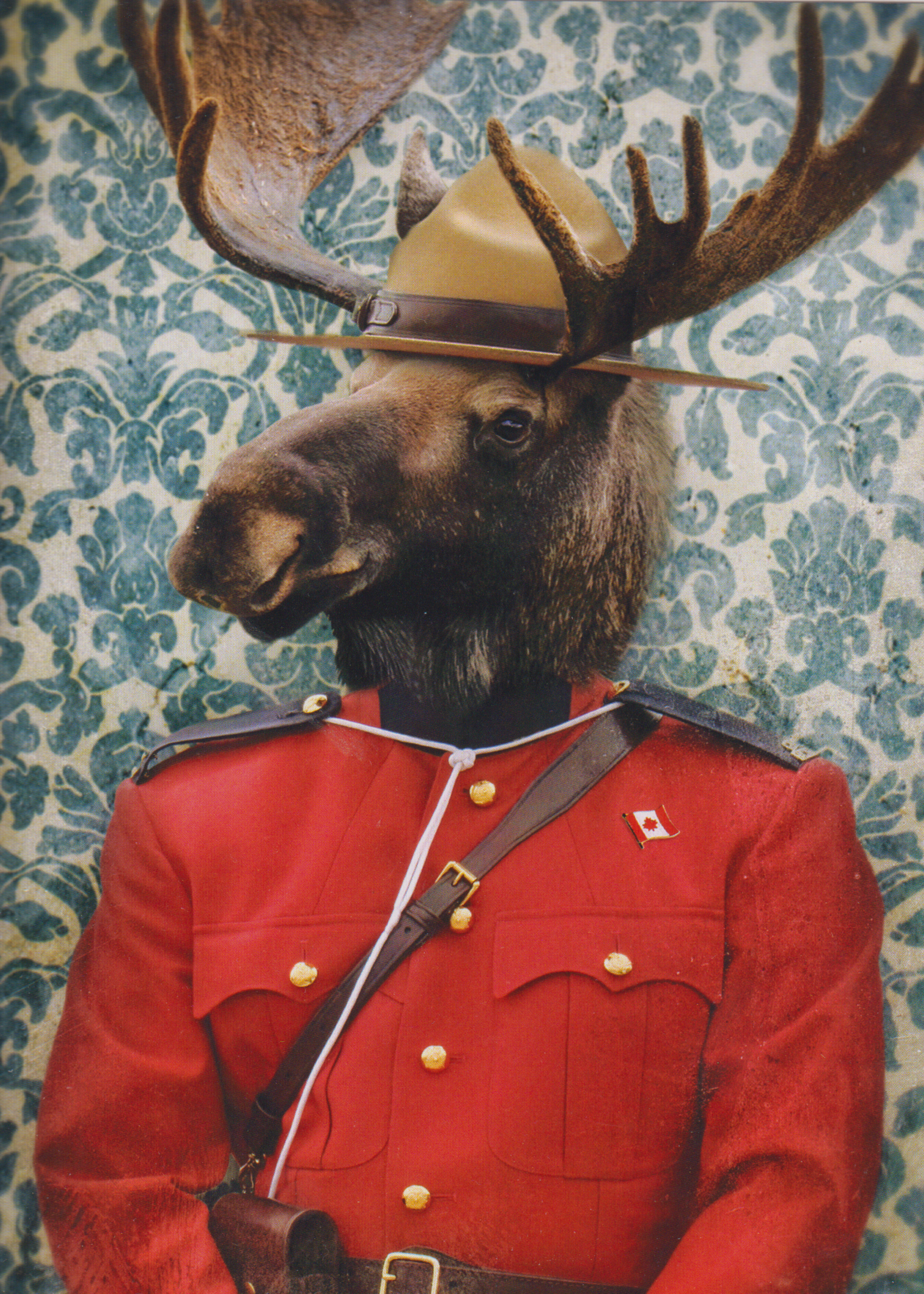 Morris B. Moose