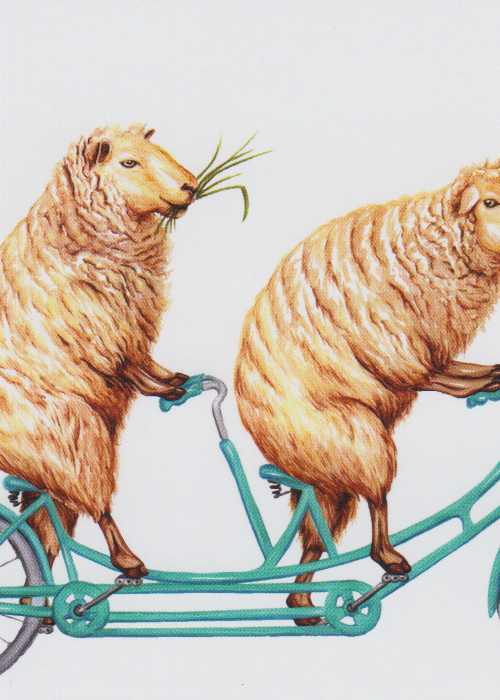 Amelie Legault Sheeps in Tandem