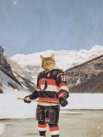 The Lonely Pixel The Ottawa "Cat"adors