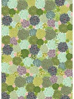 Paper Source Sheet Wrap  - Succulents