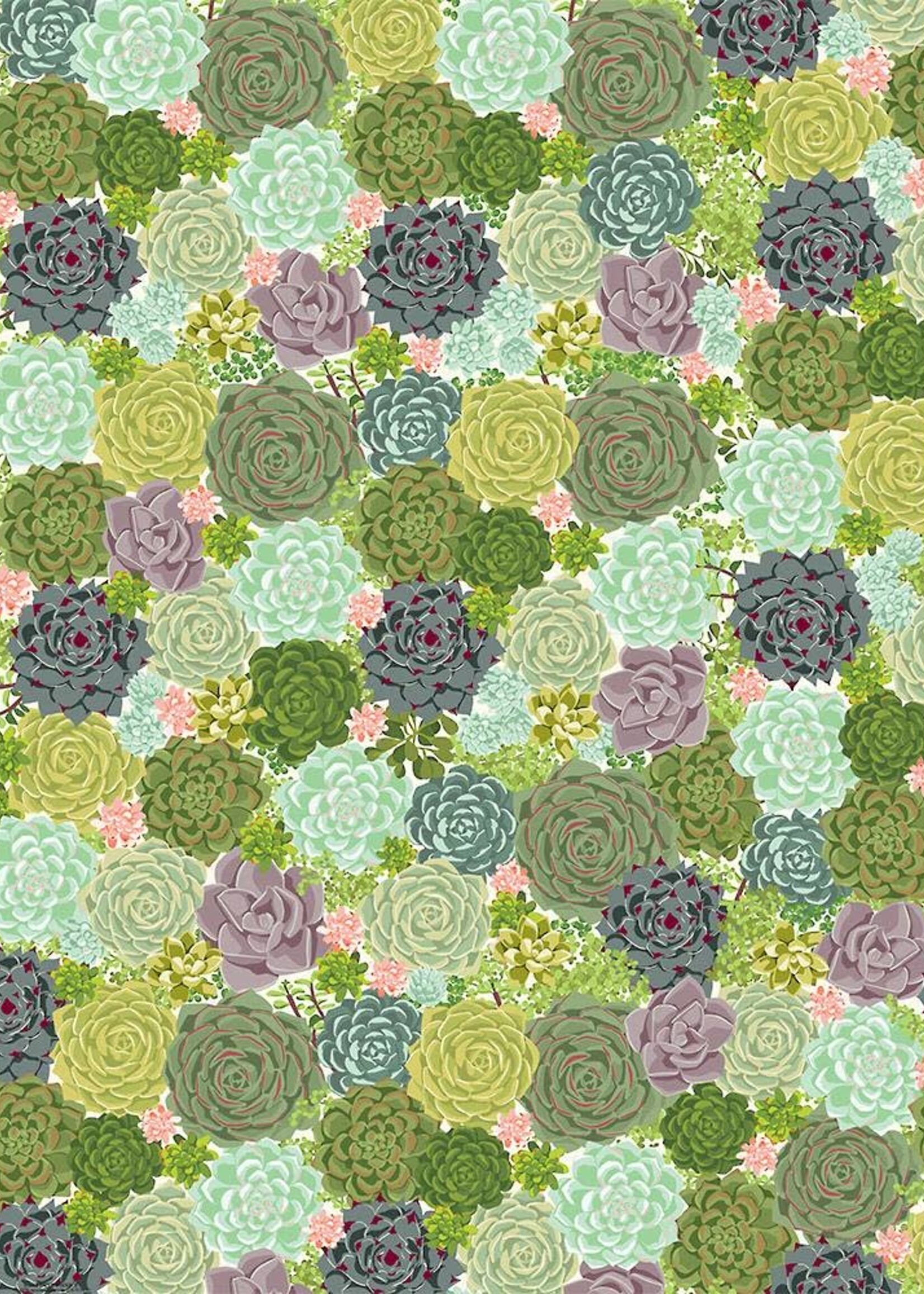 Paper Source Sheet Wrap  - Succulents