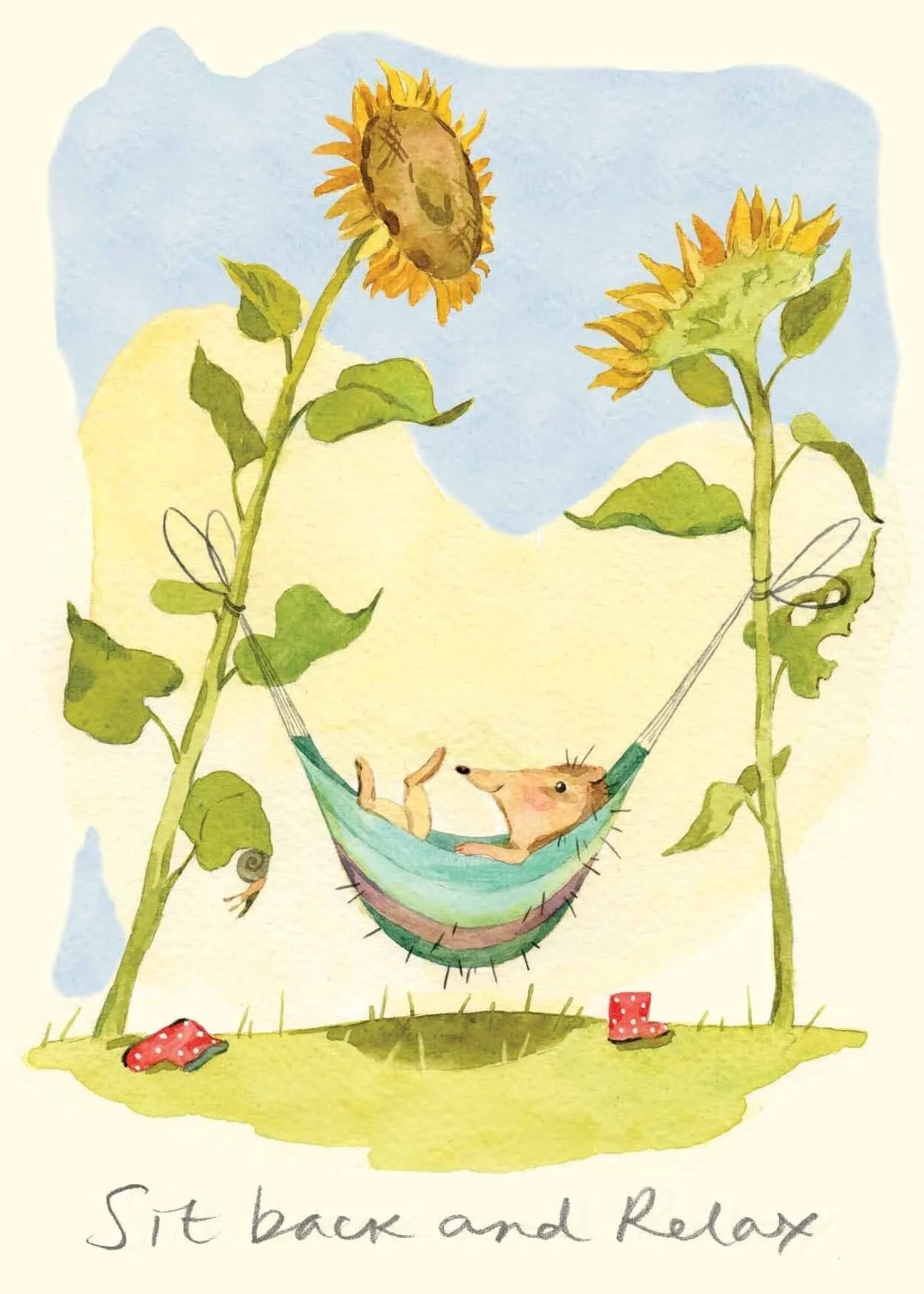 Sit Back And Relax - Hedgehog