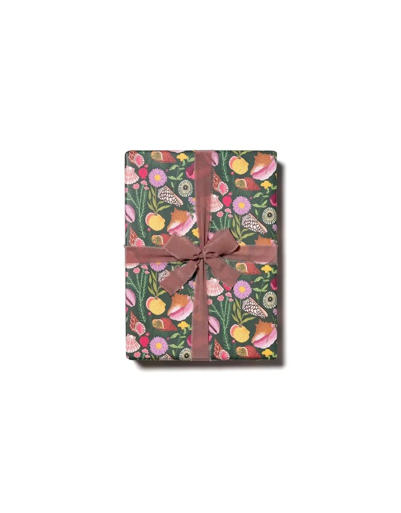 Red Cap Cards Gift Wrap ~ Shells and Flowers