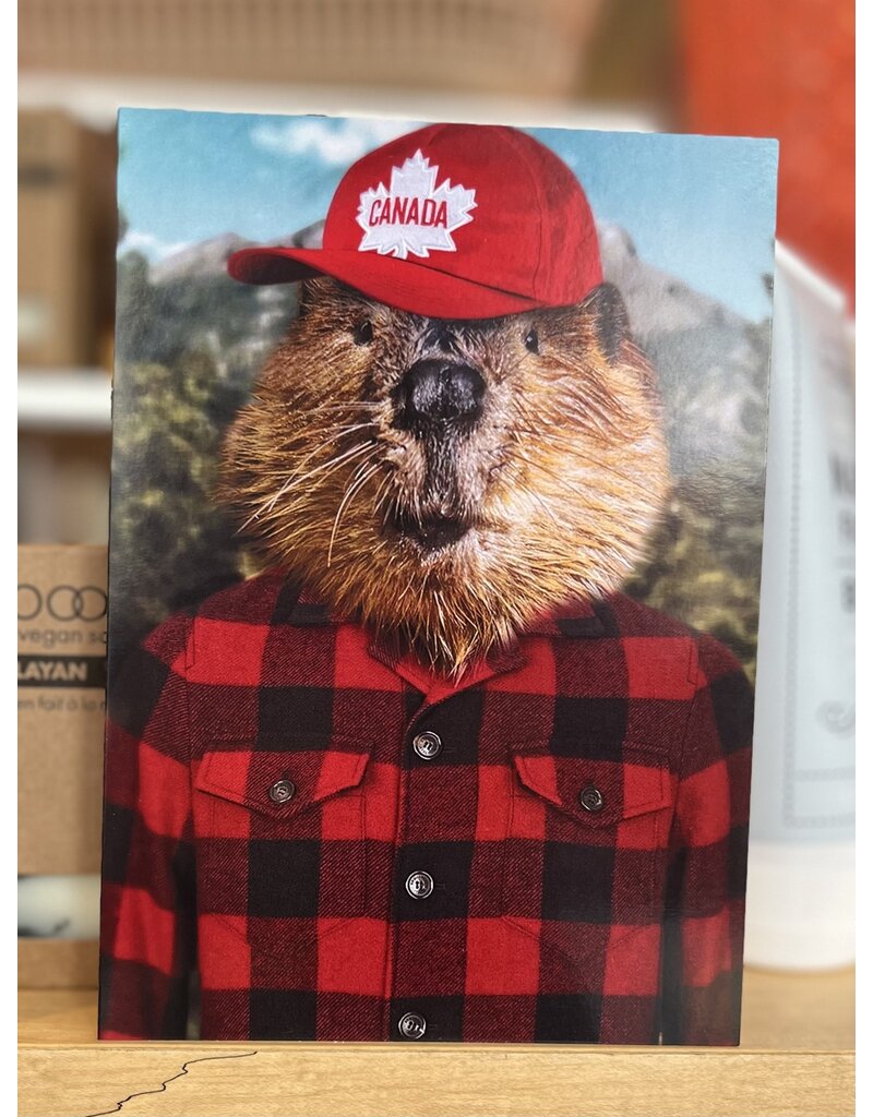 The Lonely Pixel Beaver Canuck