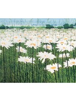 Daisy Field