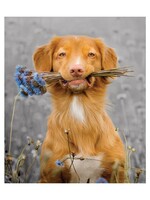 Flowers for You