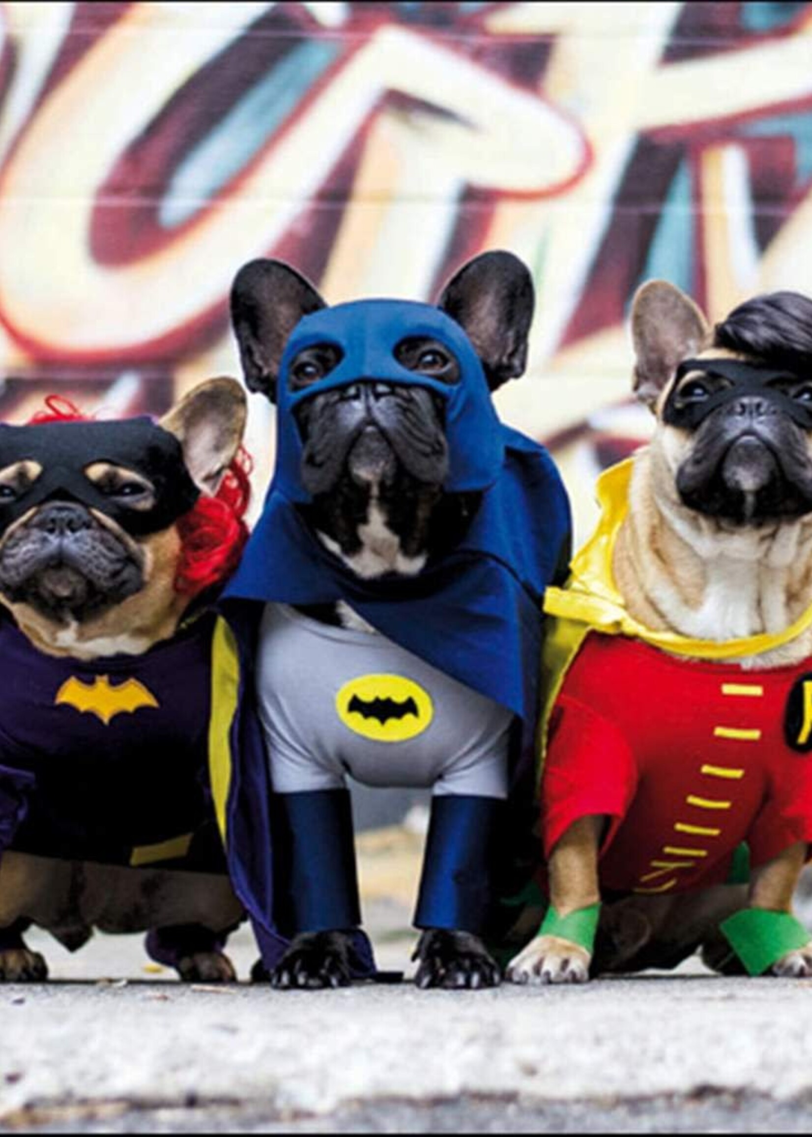 Happy Birthday - Doggo Superheros