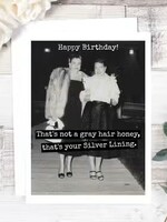 That's Not A Gray Hair Honey...