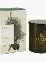 N25 Douglas Pine - 3 Wick Candle